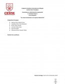 Las áreas funcionales en la empresa Natural Bu