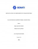 Plan de negocios shampoo en barra a base de nopal