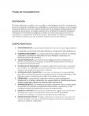 Trabajo claborativo SENA