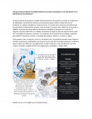 ¿De qué manera impactan el establecimiento de un marco conceptual y el rol del director en la administración de proyectos?