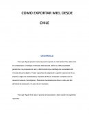 ¿Cómo exportar miel desde Chile?