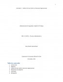 Análisis De Caso Sobre La Estructura Organizacional