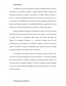 La auditoría. Aportes de otras disciplinas a la auditoría