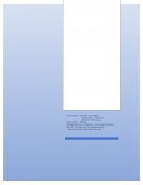 Informe guerra de Israel y Palestina