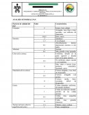 Análisis sensorial pan