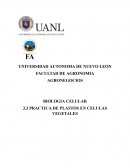 Práctica de plastos en celulas vegetales
