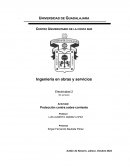 Protección contra sobre-corriente