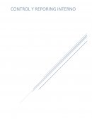 Tarea de control y reporting interno