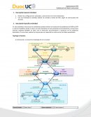 Laboratorio N°9 Resolviendo Problemas IGP-EGP en una Red Corporativa