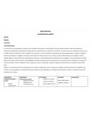 Unidad didáctica: “La verduleria del barrio”