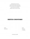 El Servicio Comunitario en Arquitectura