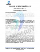 Informe de Gestión 2018 A&S Minergy