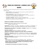 Formato del informe o proyecto de trabajo