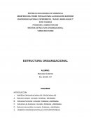 Estructura organizacional. Diseños organizacionales contemporáneos