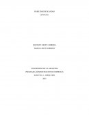 Programa administración de empresas