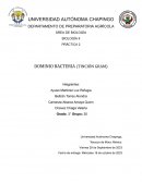 Biología II Práctica 2