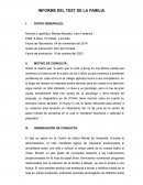 Test de la familia humana, practica a un niño de 8 años de edad