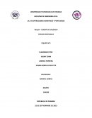 Puerto de Valencia - Informe