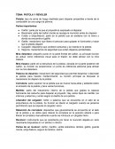 Balistica. Pistola y revoler