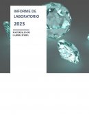 Los diversos materiales de laboratorio