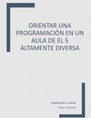 Habilidades Docentes y Profesionales del Maestro