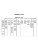 Planificación anual – sala roja