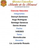 Biomoléculas