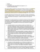 Análisis organizacional