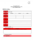 Plano didáctico Proyecto parcial de aula (PPA)