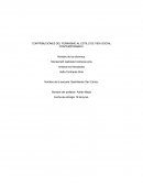 Contribuciones del feminismo al estilo de vida social contemporáneo