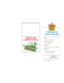 Proyecto Purificador de aguas residuales