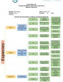 Sonidos cardiacos en bovinos, equinos y lagomorfos