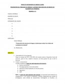 Prevención del consumo de drogas y alcohol para reducir los índices de accidentes de tránsito