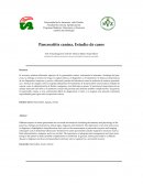 Pancreatitis canina, Estudio de casos