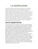 La marihuana