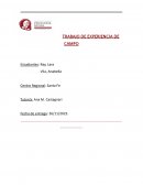 Trabajo de campo de psicologia social