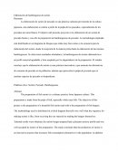 Elaboración de hamburguesa de surimi