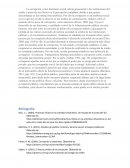 La corrupción, como fenómeno social