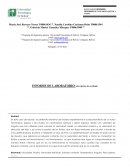 Laboratorio descripción de un fluido