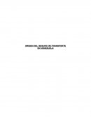 El origen del Seguro de Transporte en Venezuela