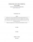 Manera en la que los protocolos sanitarios inciden en la prevencion de enfermedades virales en el barrio Luz de America