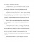 Uso, efectos y abusos de la ayahuasca