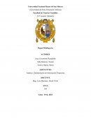 Análisis e Interpretación de Información Financiera PayPal Holdings Inc