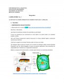 Laboratorio No. 3 Accion de una enzima presente en tejidos vegetales y animales