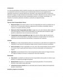 Tipos de Cintas Transportadoras Aéreas