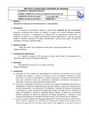 Práctica: empaque de aguacate p#3