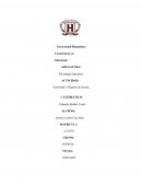 Ensayo sobre problemas sociales