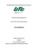 ¿Qué es la colagenasa y para qué se utiliza?