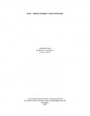 Informe Psicológico y Toma de Decisiones