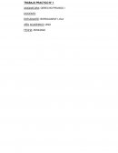 Trabajo práctico N° 1 Derecho privado